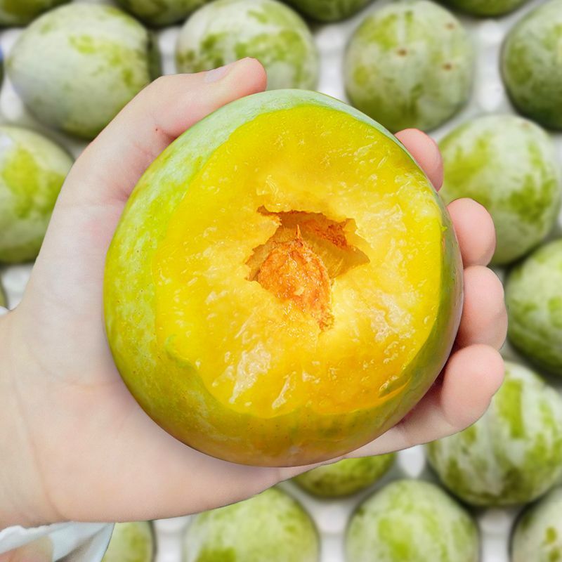 酸酸甜甜脆贵州李子新鲜应季青脆脱骨脆甜多汁正宗当季水果包邮