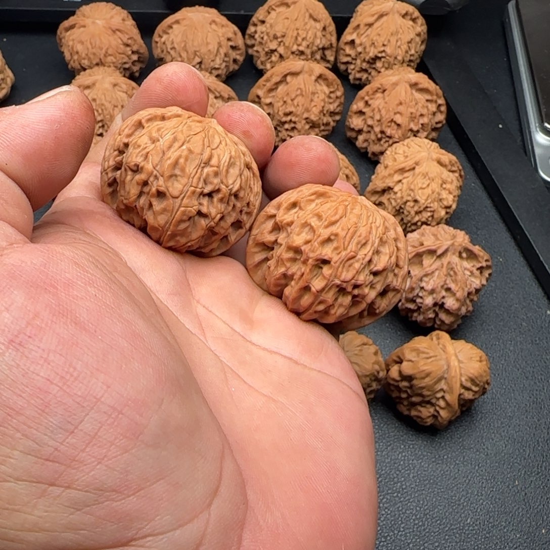 42尺全品无修山地正磨