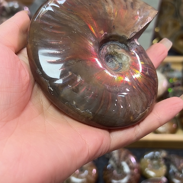 咋***情石材马达加斯加玉化螺^_^