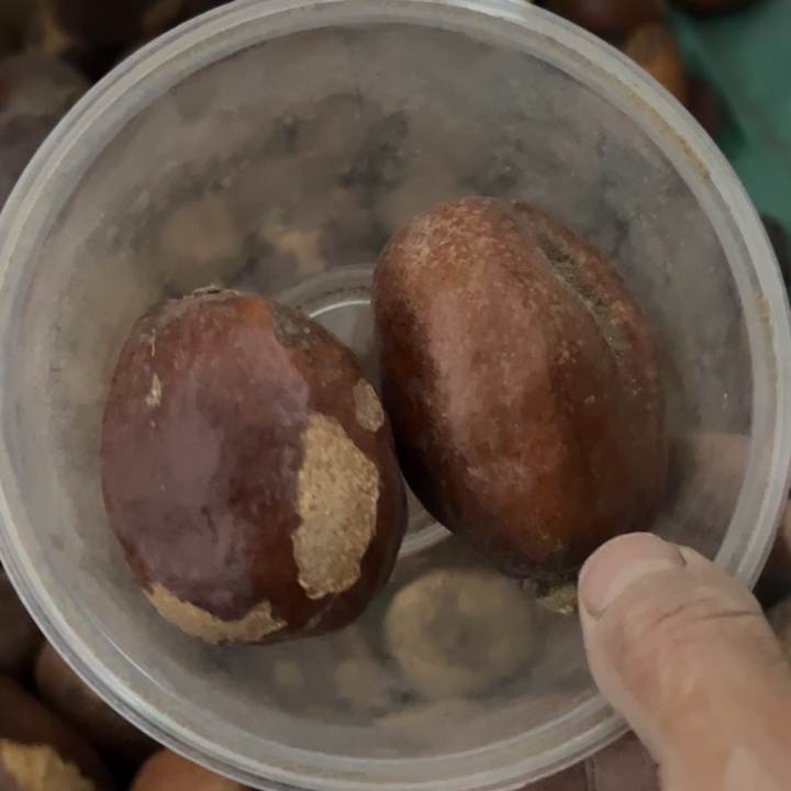 千眼菩提吊坠金宝玉2个281