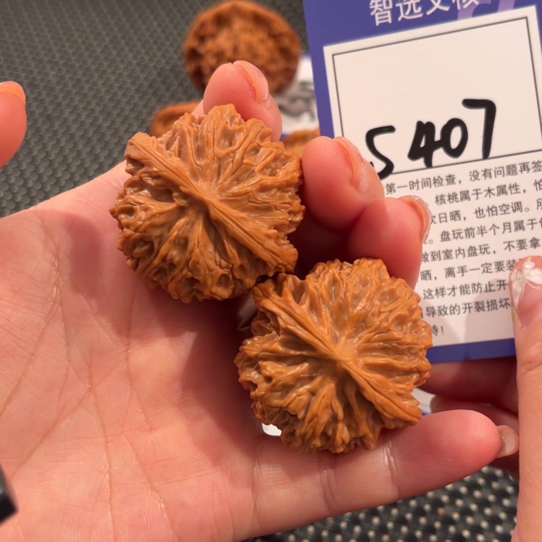 核桃S407号苹果园39尺