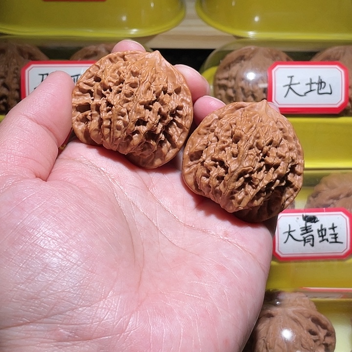 文玩核桃把件盘龙纹