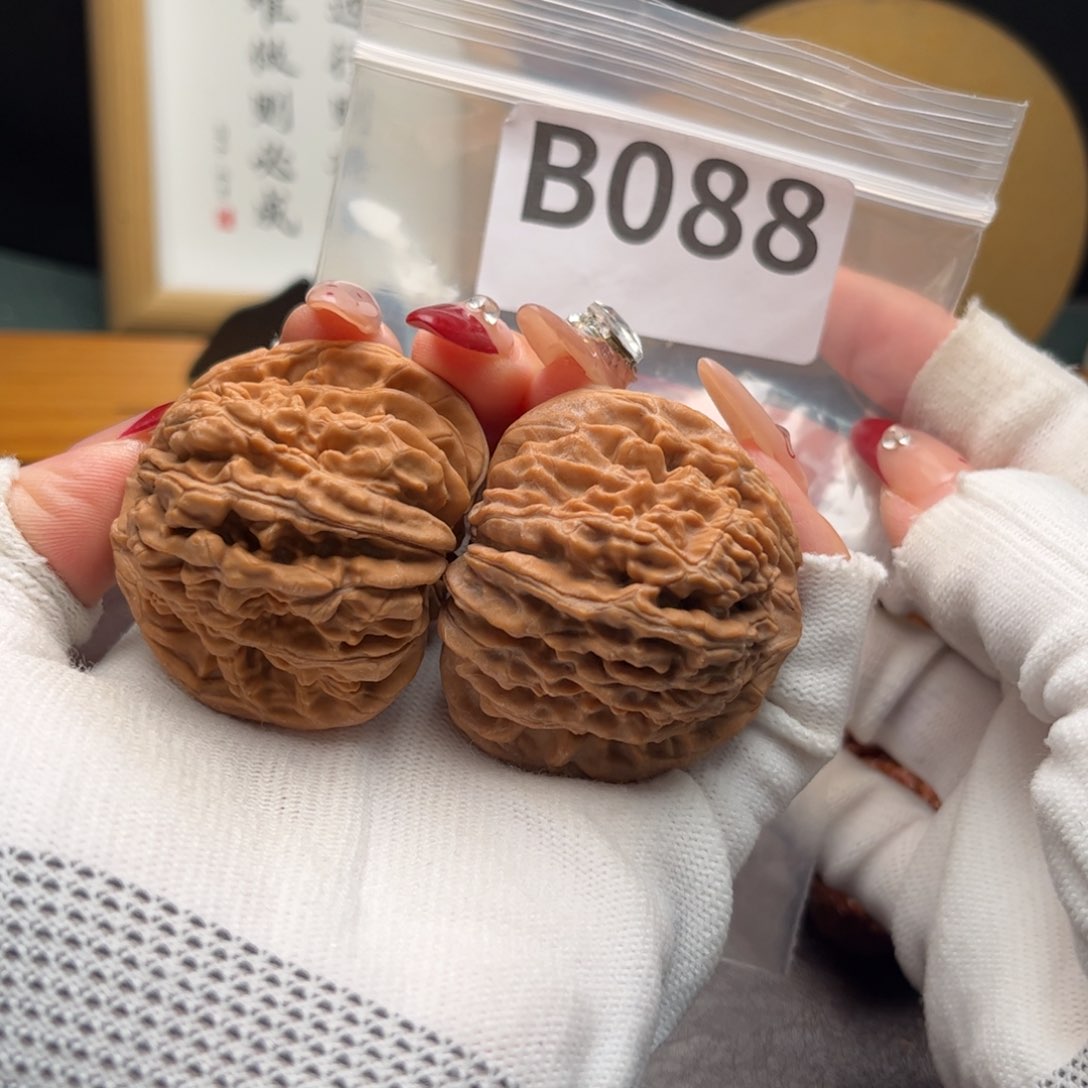 文玩核桃把件45楼b 088