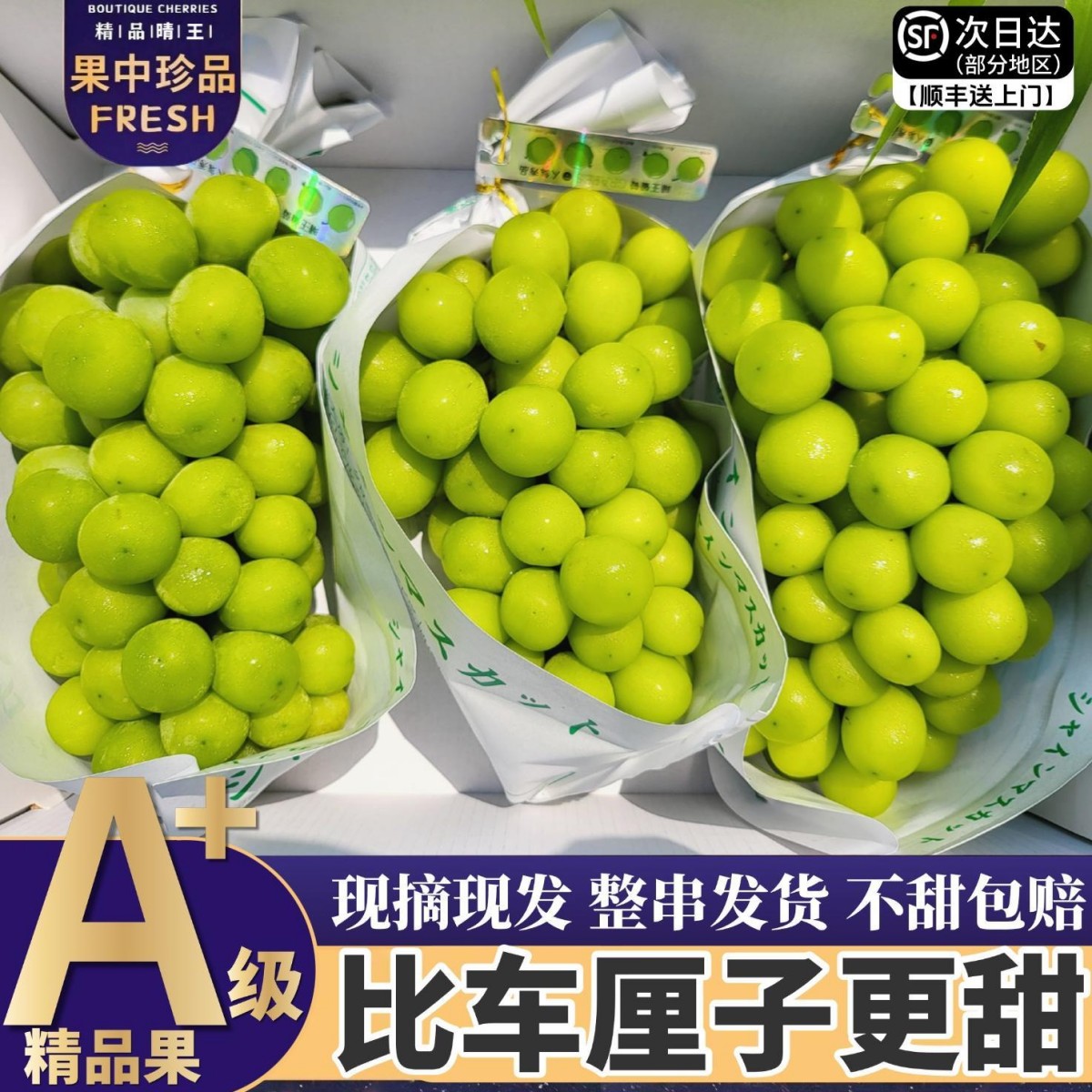 【顺丰冷链】阳光玫瑰葡萄5斤晴王新鲜无籽葡萄香印青提当季Z