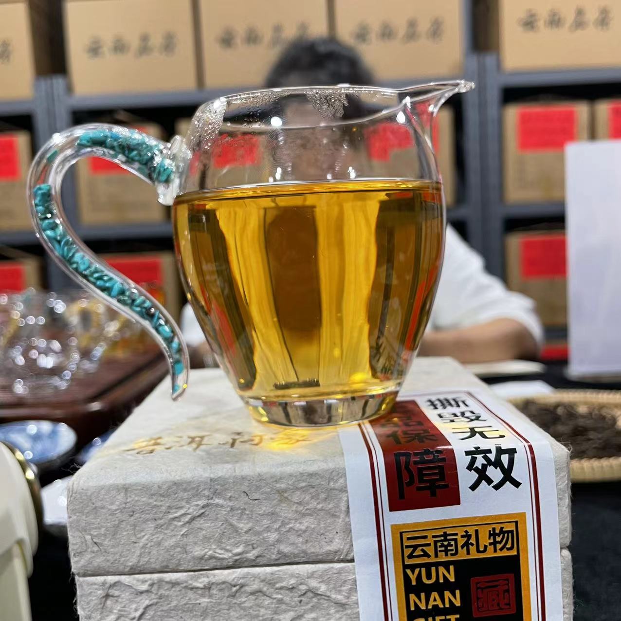 21年黄草林古树头春