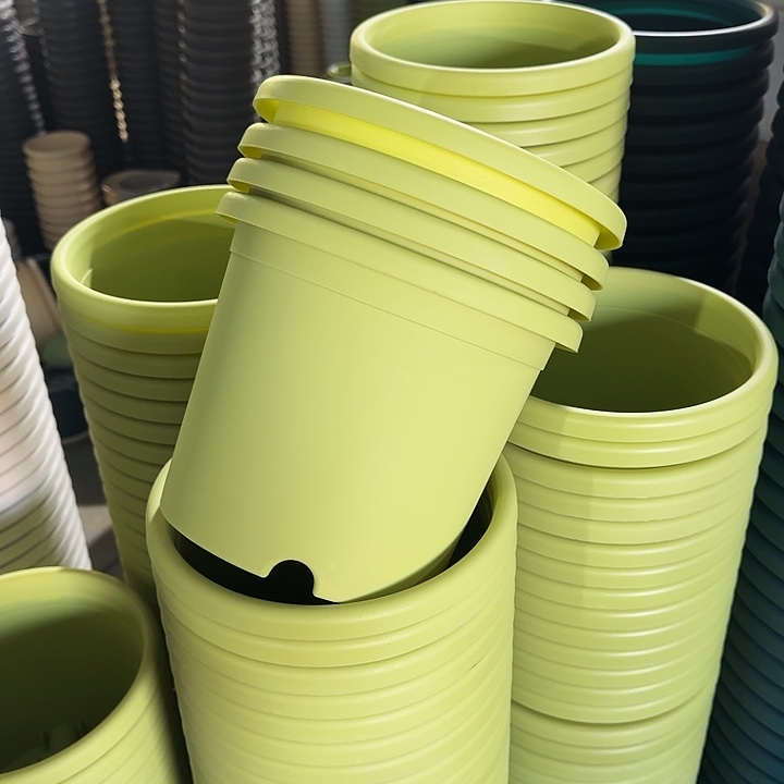 四季3#口径21果绿10个