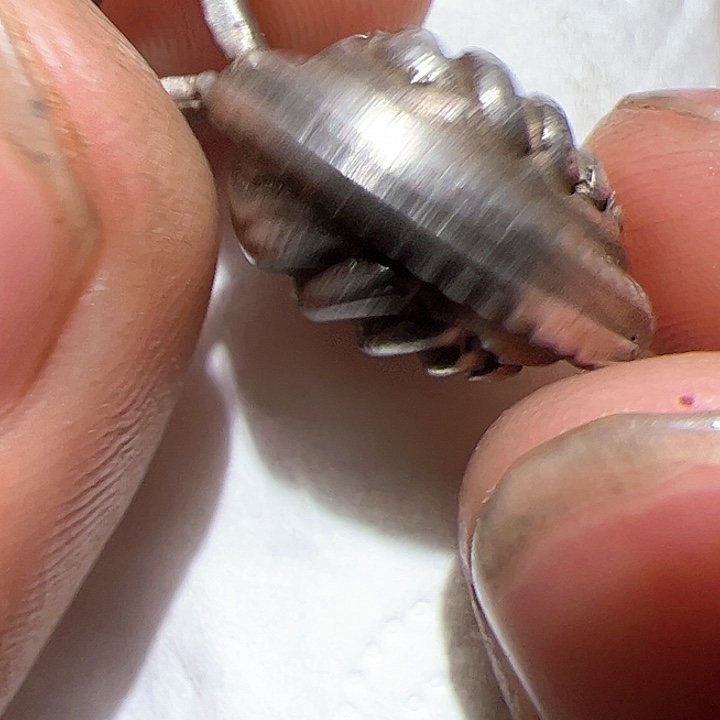 香榧木你的时候你