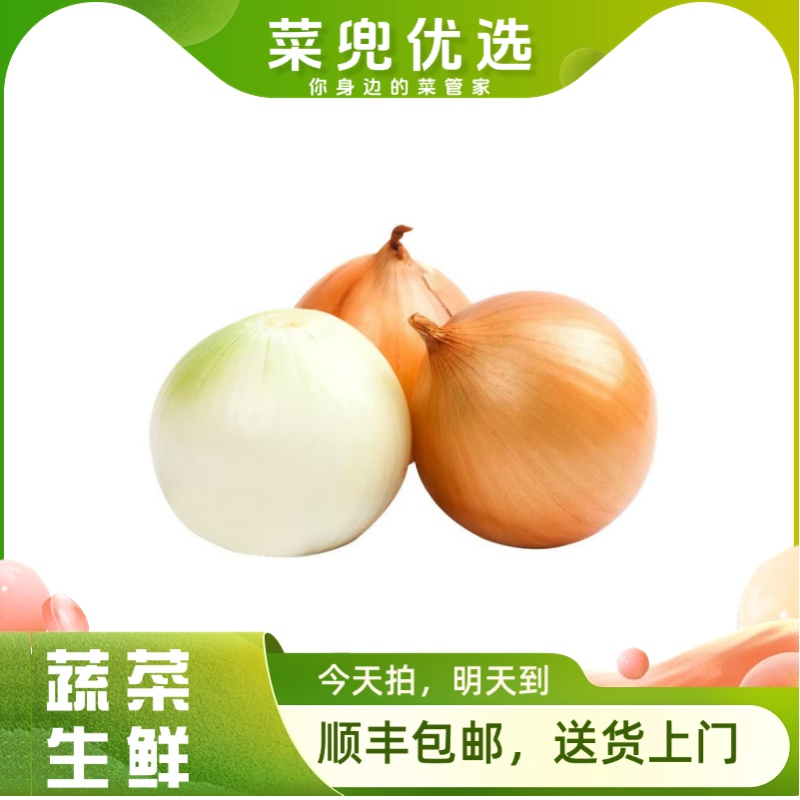 黄圆葱0.5-0.8斤/份（1个）蔬菜