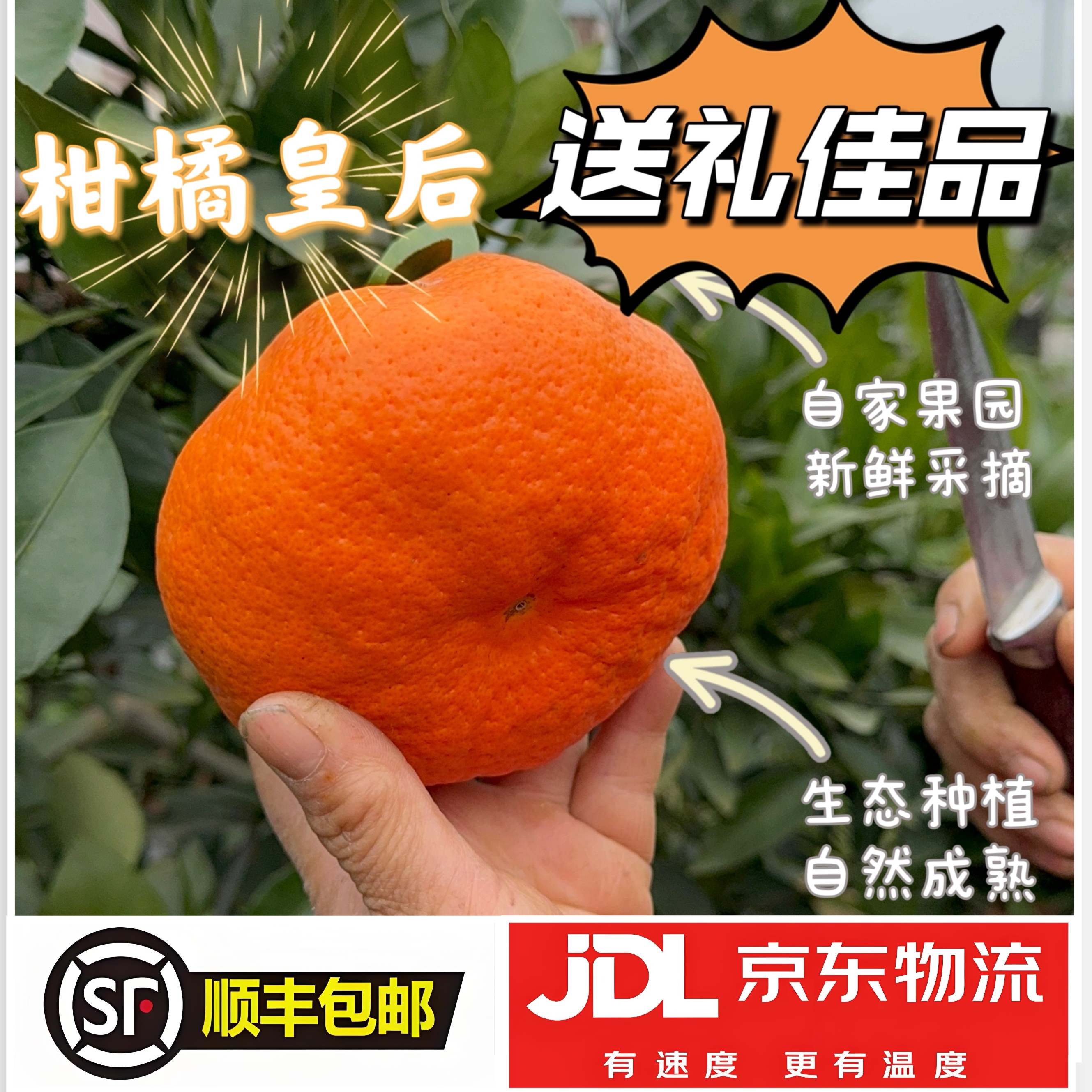 【顺丰包邮】四川眉山甘平柑橘皇后自家甘平新鲜应季水果现摘现发