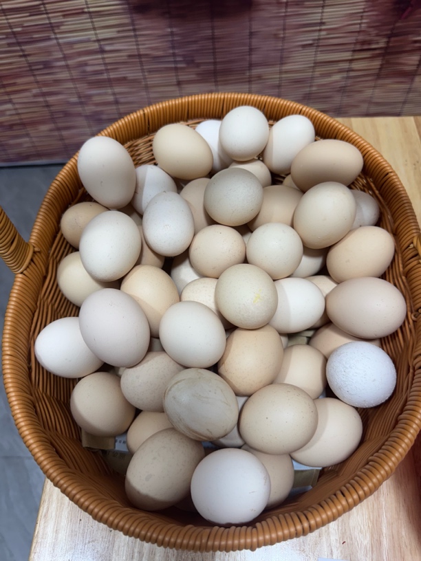 20枚农家散养正宗新鲜土鸡蛋山林纯五谷喂养营养健康