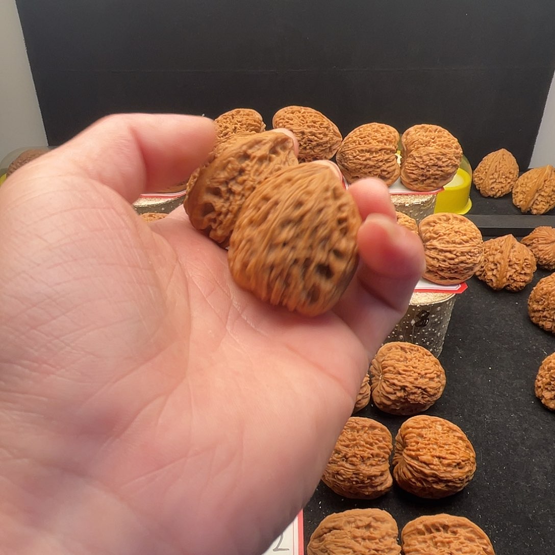 文玩核桃把件初*南疆核桃文玩把件