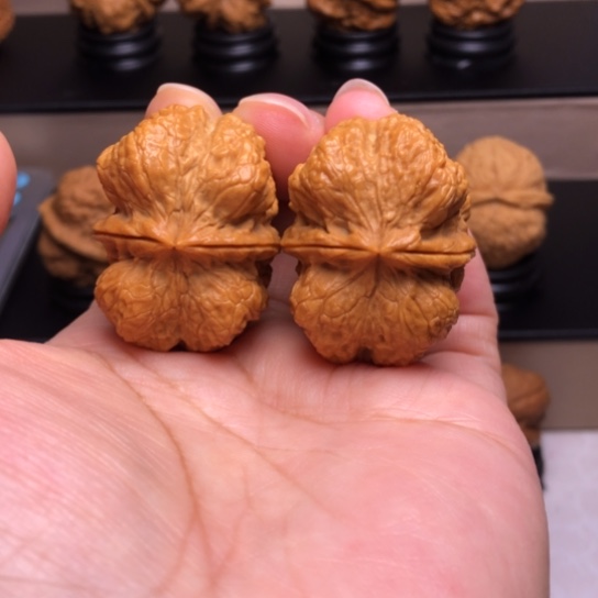 文玩核桃把件霸王龙脊28