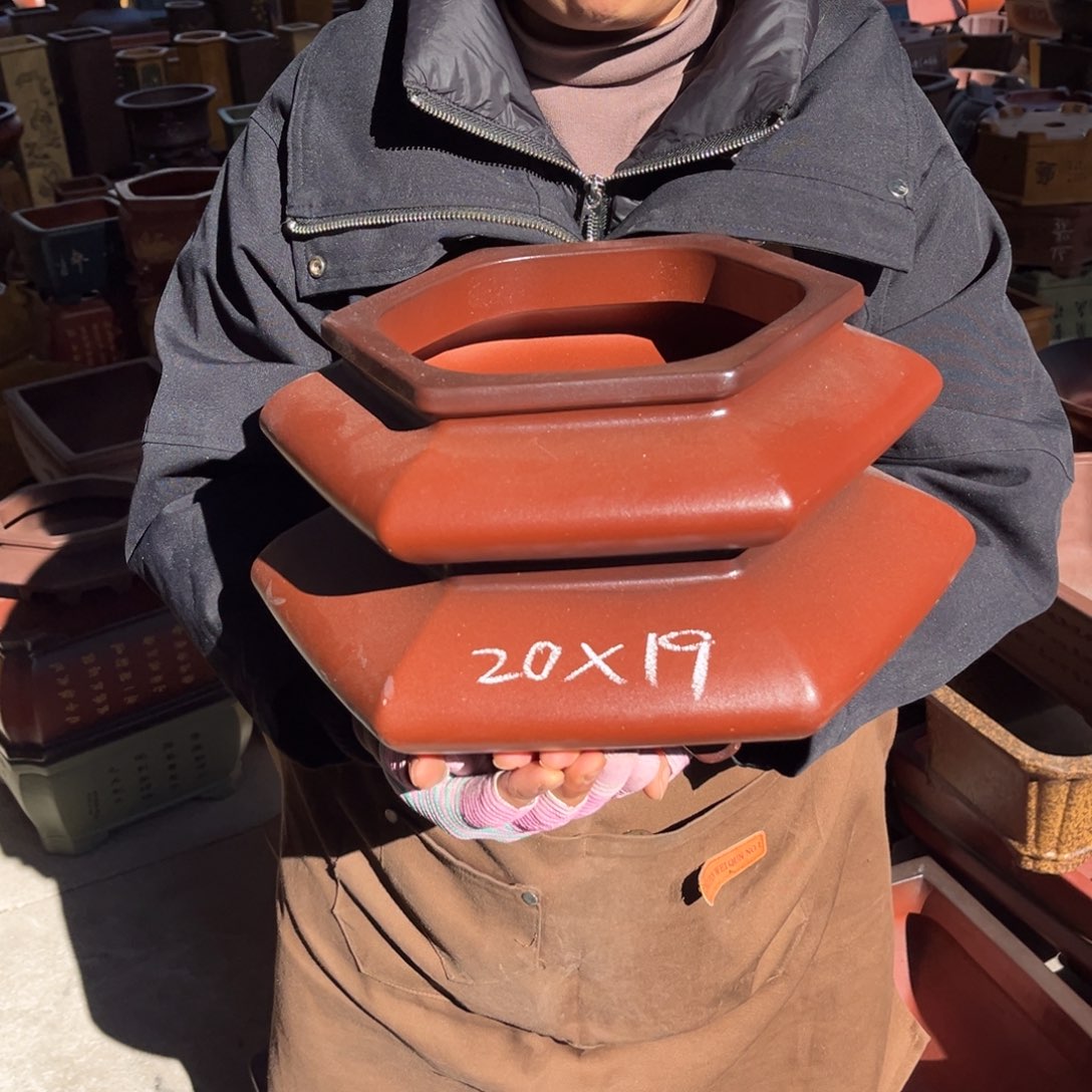 紫砂花盆盆景艺术