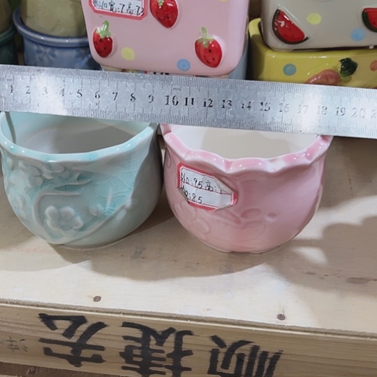 花盆111111111111111111