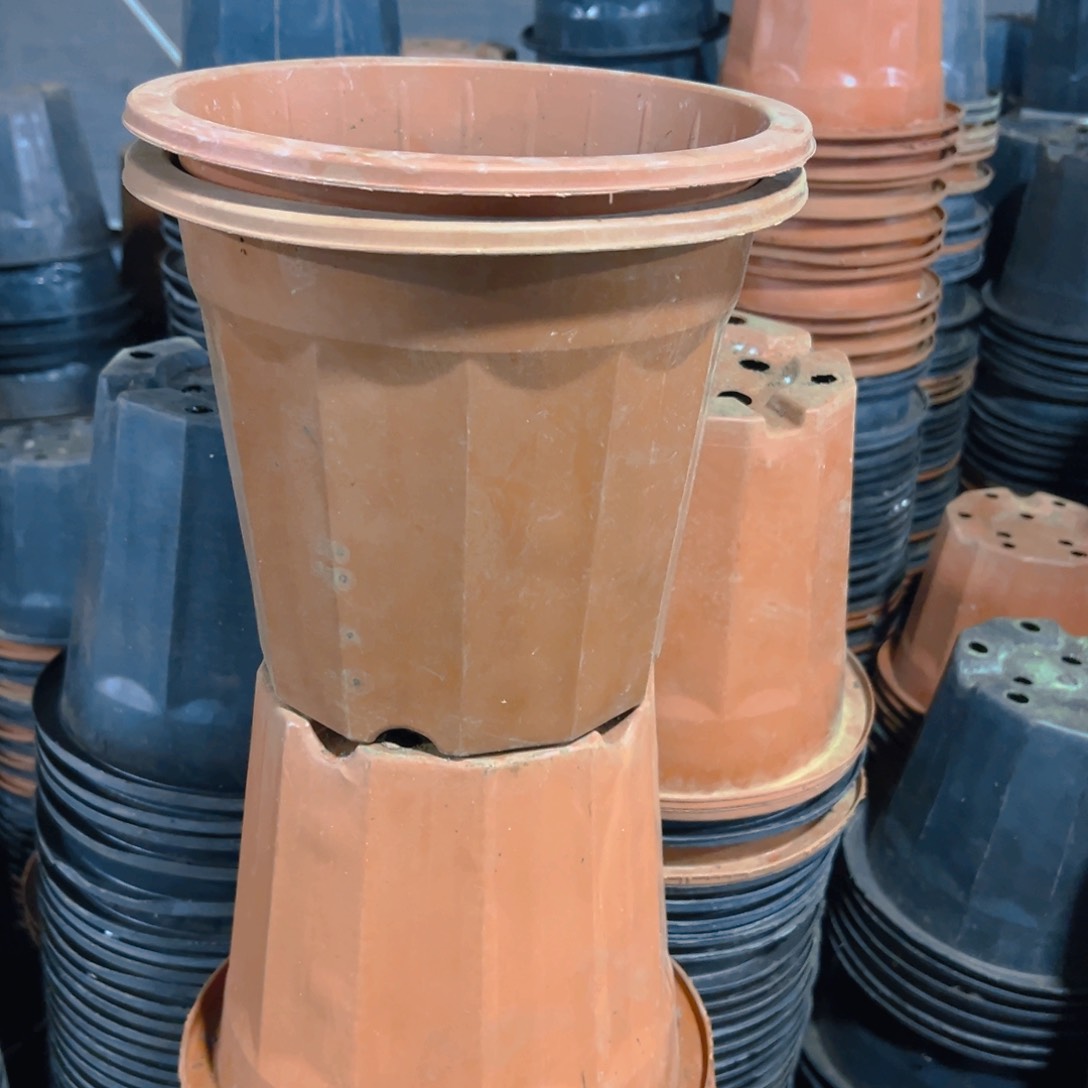 红砖盆22口径19高 10个