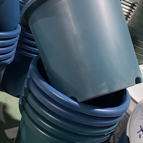 树脂四季9号藏青无托4个