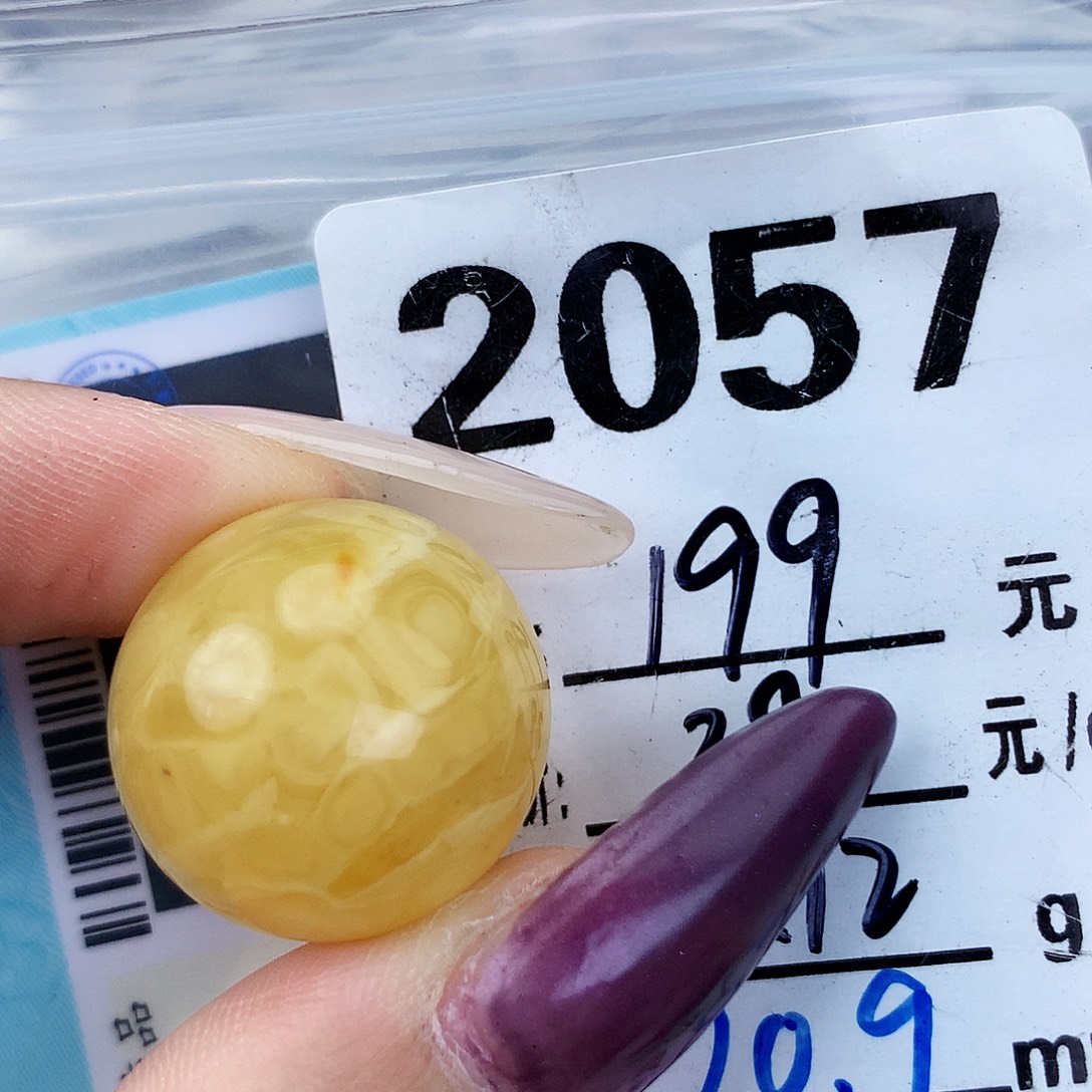 琥珀未镶嵌珠宝奇石20.9植物
