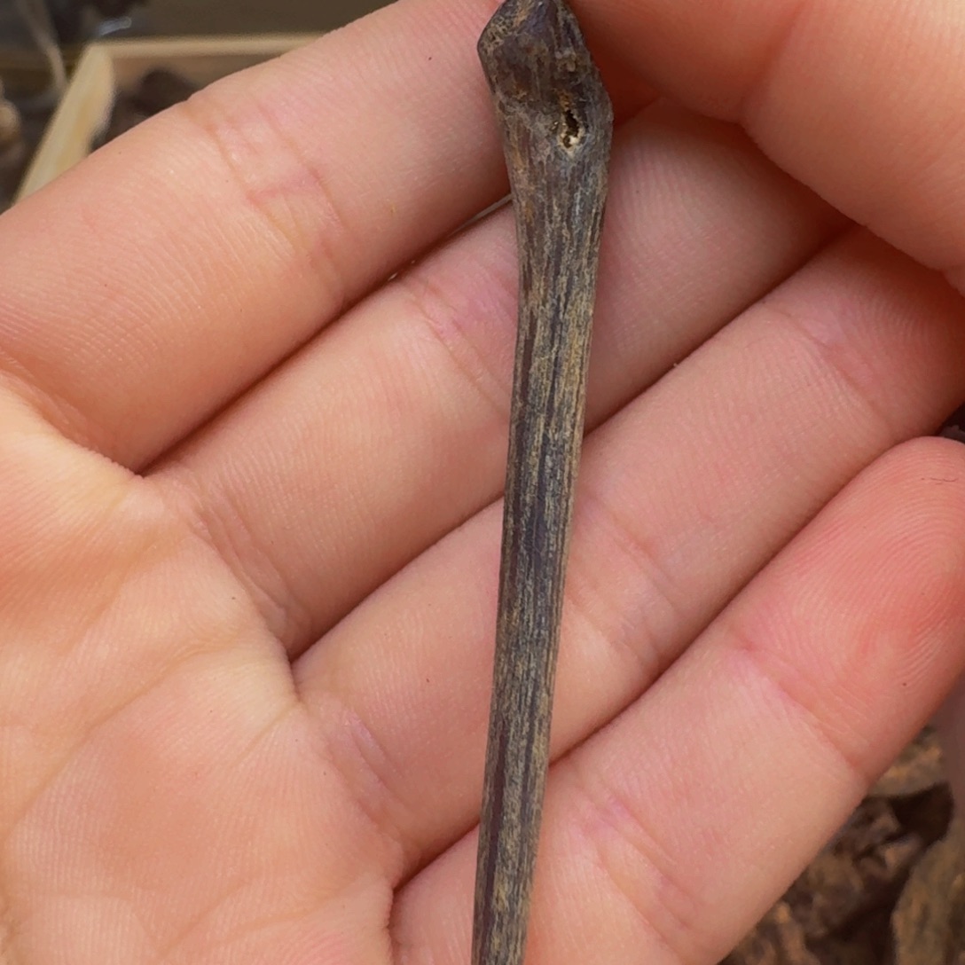 沉香吊坠海南高山母树沉水数丁