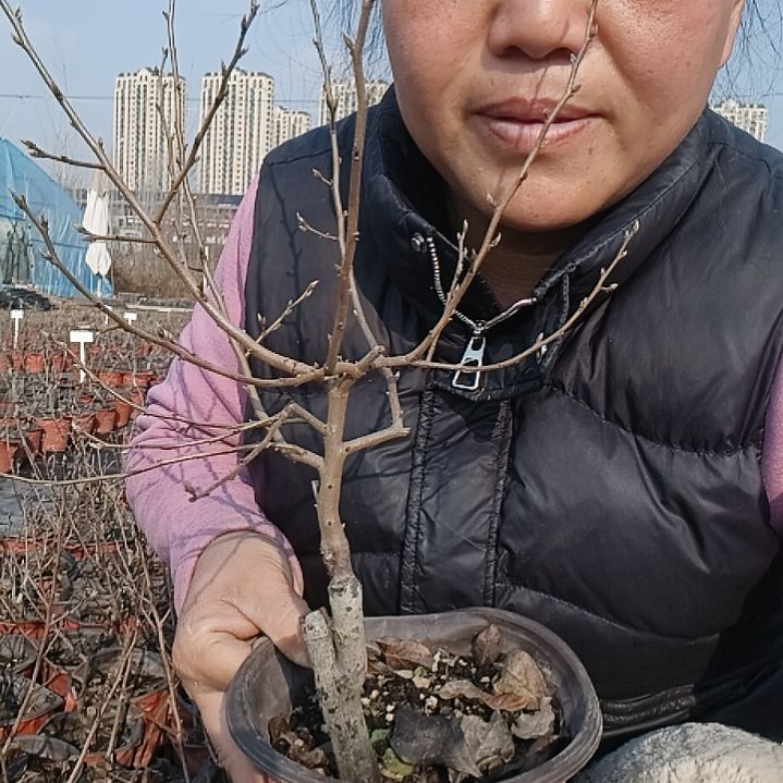 ꒰***꒱无花朵15676688998999