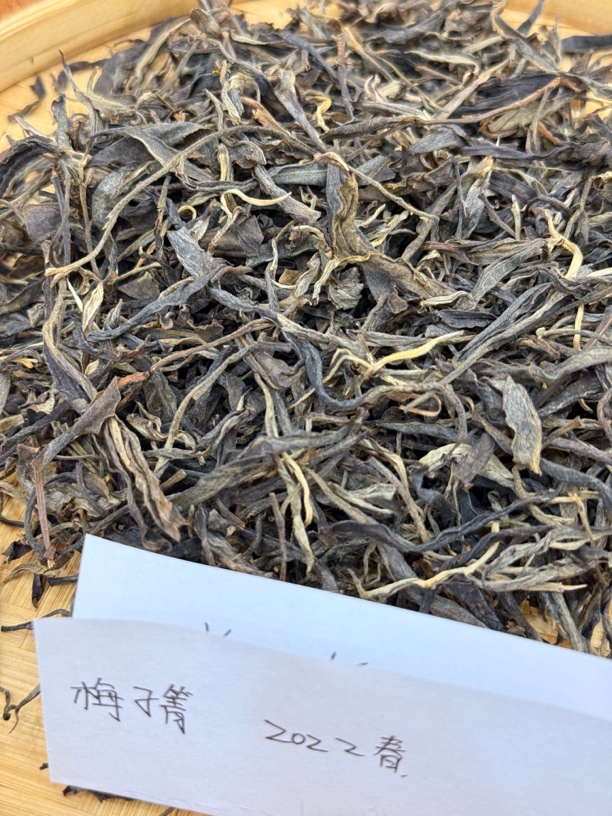 2022年梅子箐春茶古树