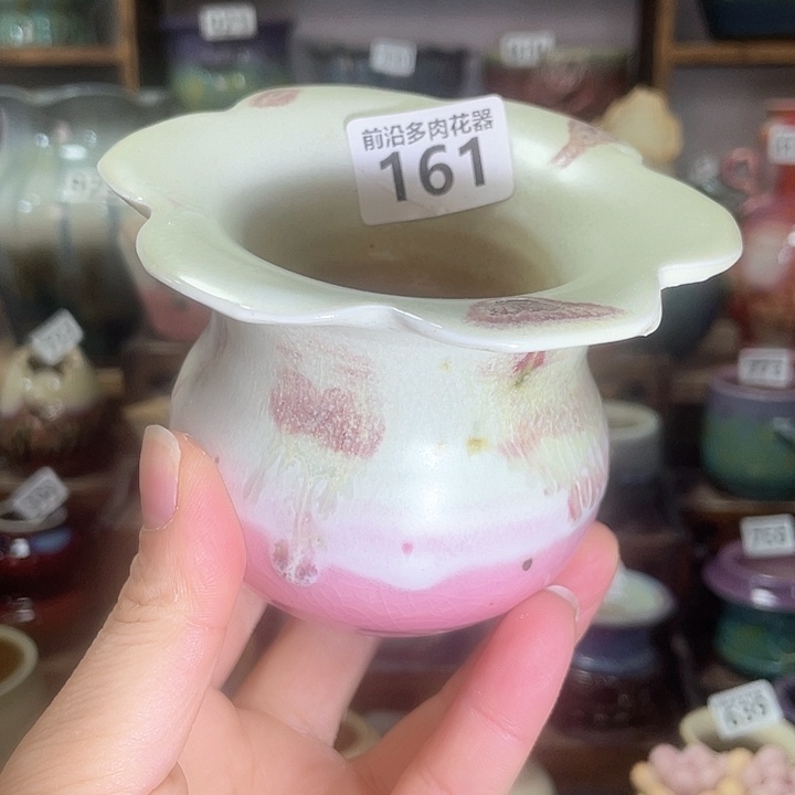 红陶内口径6高度8