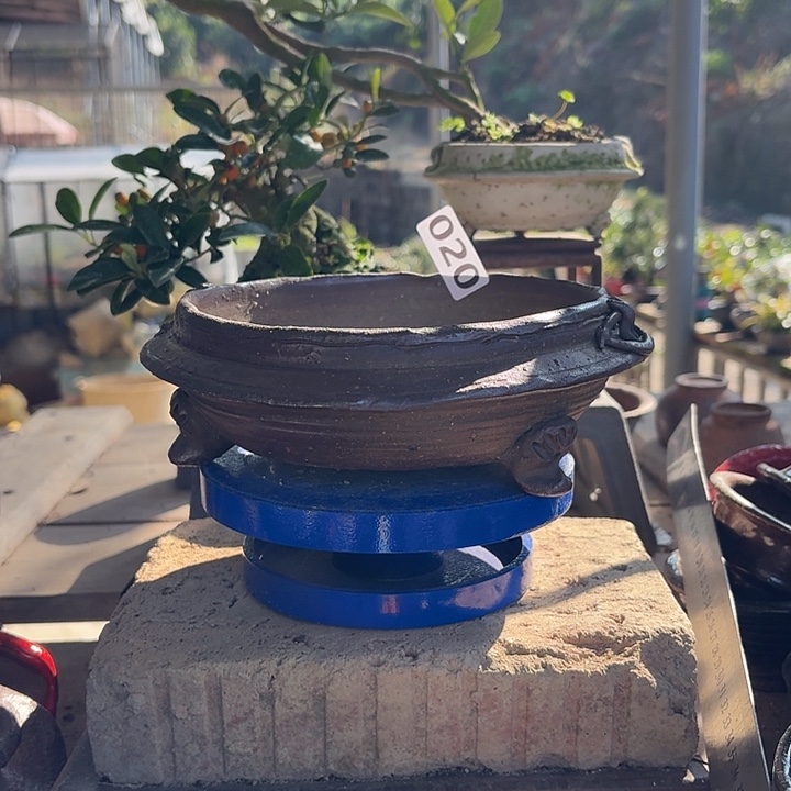 …***泽1246737637847花盆