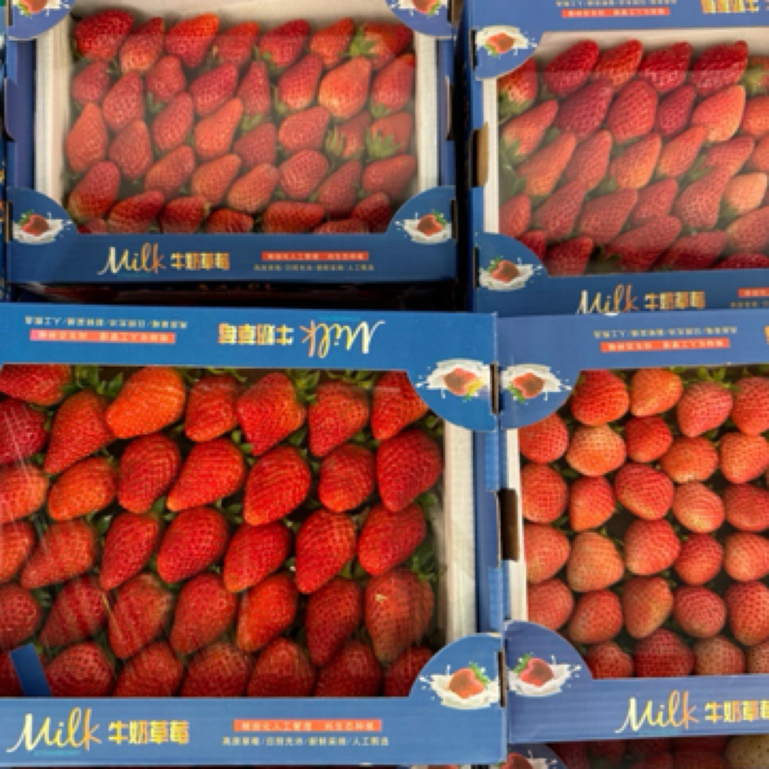 云南玉溪小礼盒奶油草莓500g