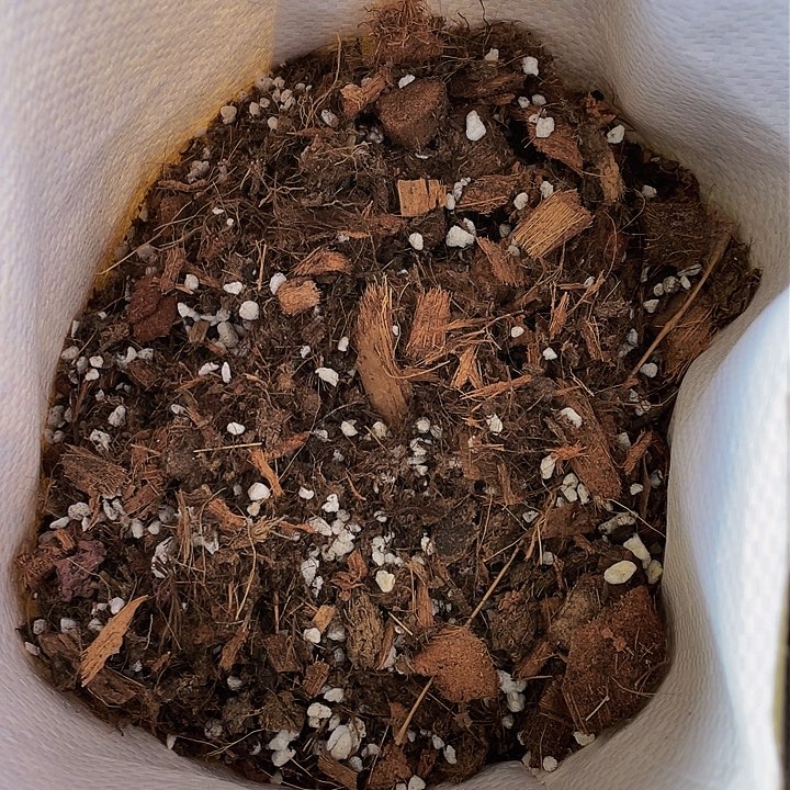 法师专用养护01号