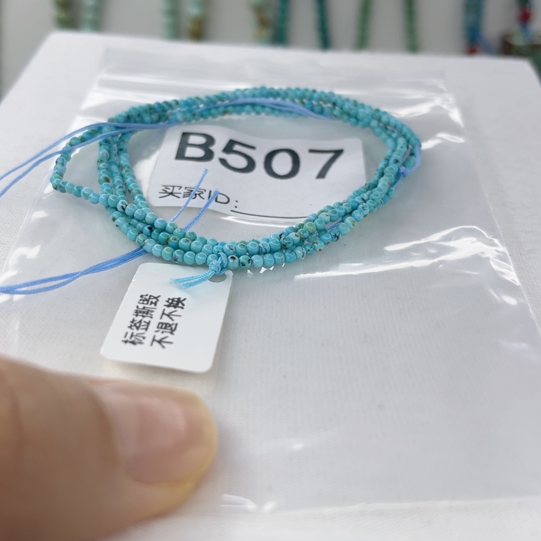 绿松石未镶嵌颈饰2.0