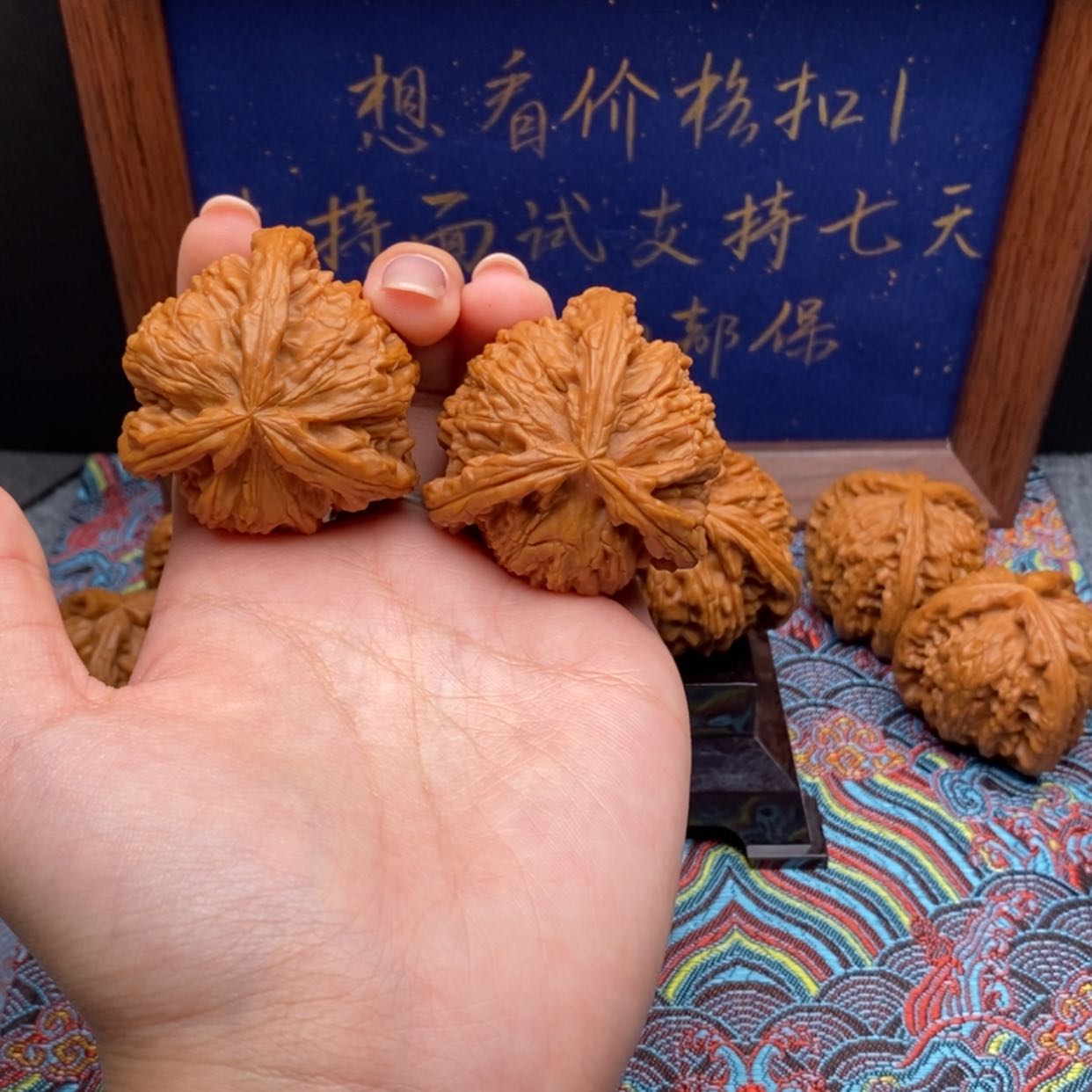 【闪购商品】隔**王白狮