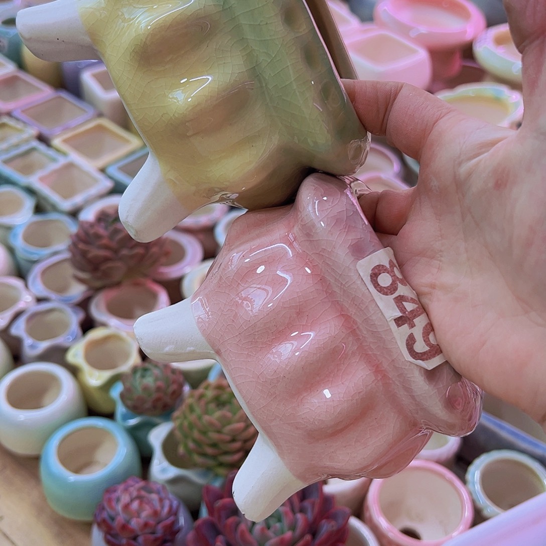 月***色陶瓷花盆当场凑满12包邮