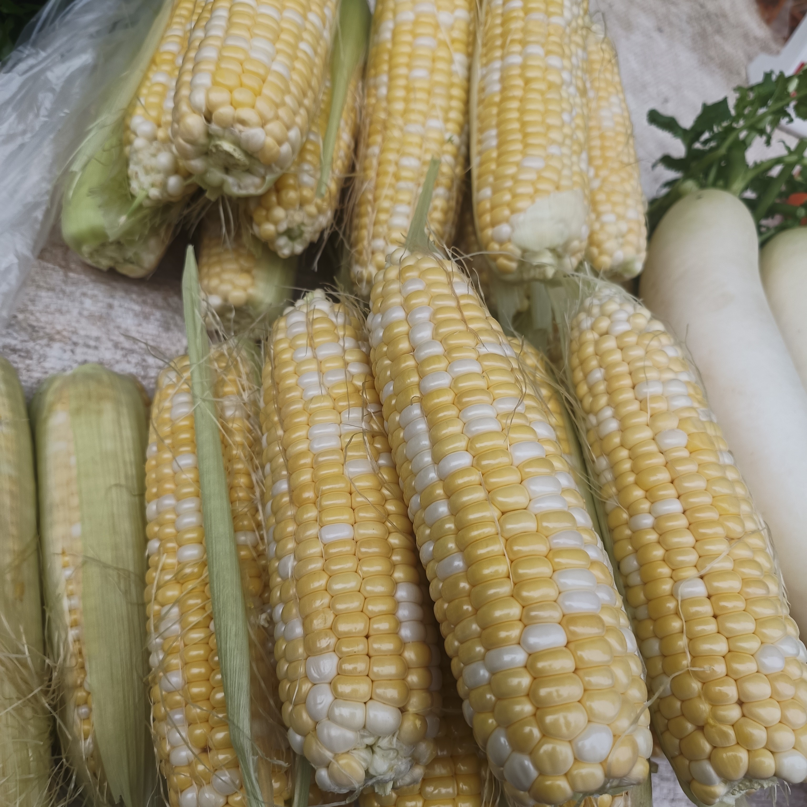 糯玉米 云南农家大集现收