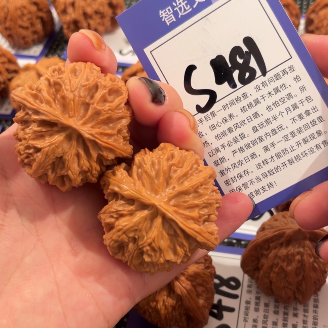 核桃S481号苹果园44尺