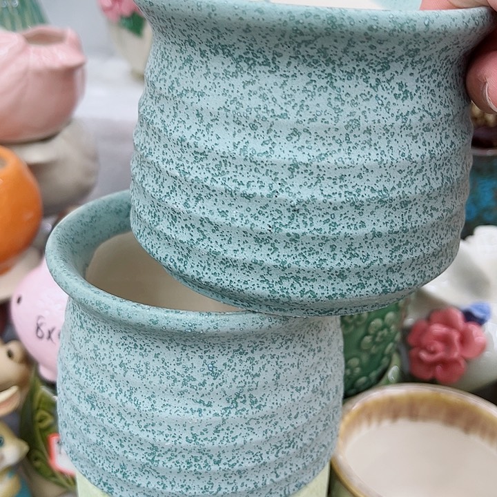 多肉植物陶瓷花盆