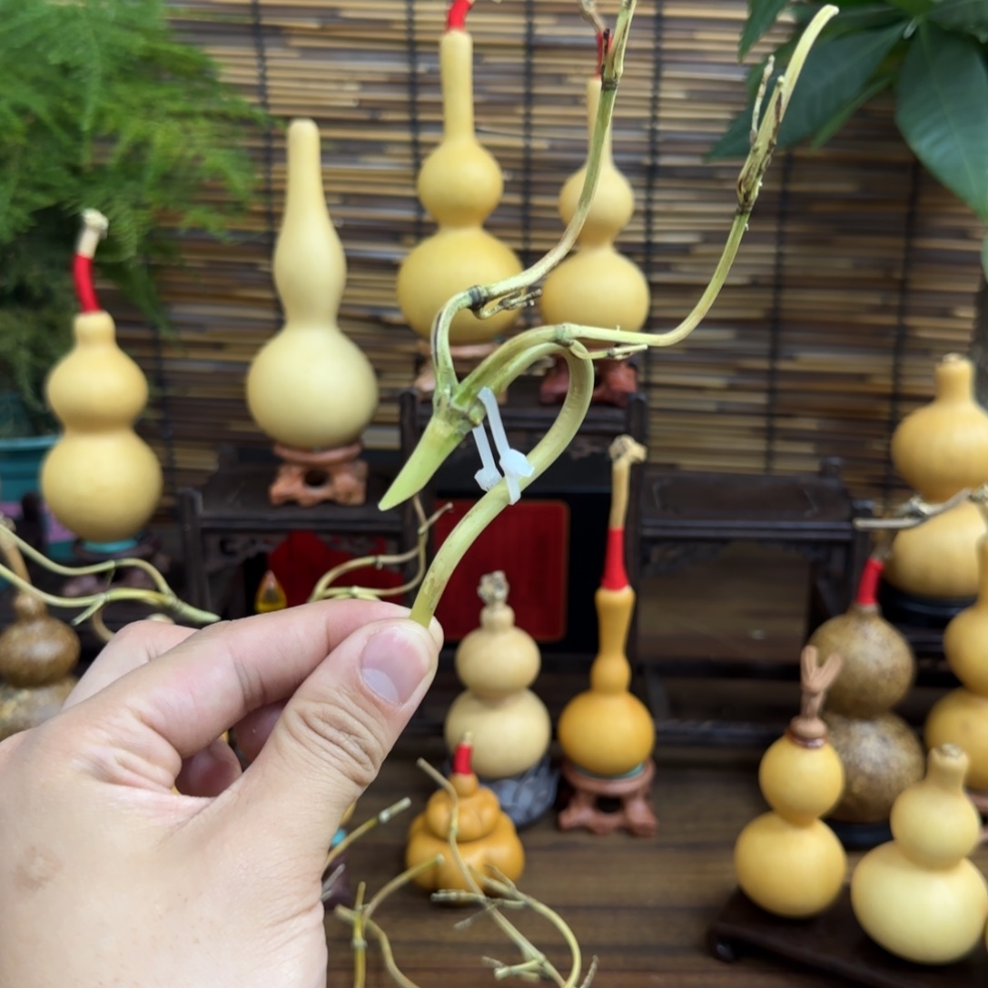 兴***韵啊啊啊啊啊啊啊啊啊