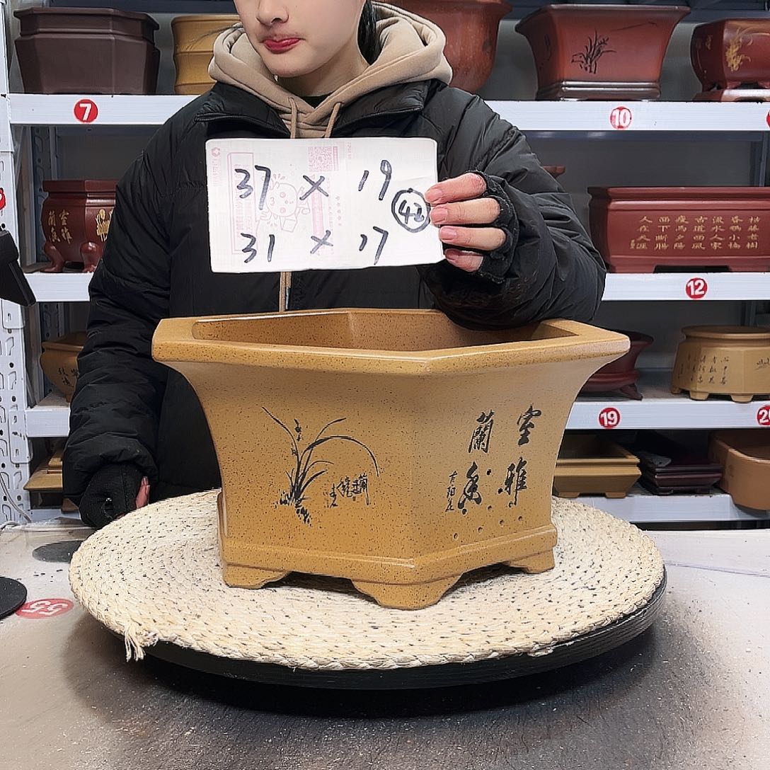 花盆紫砂紫砂花盆