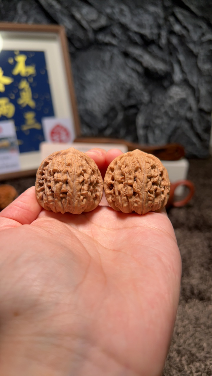 文玩核桃 承德四喜6520号36尺寸