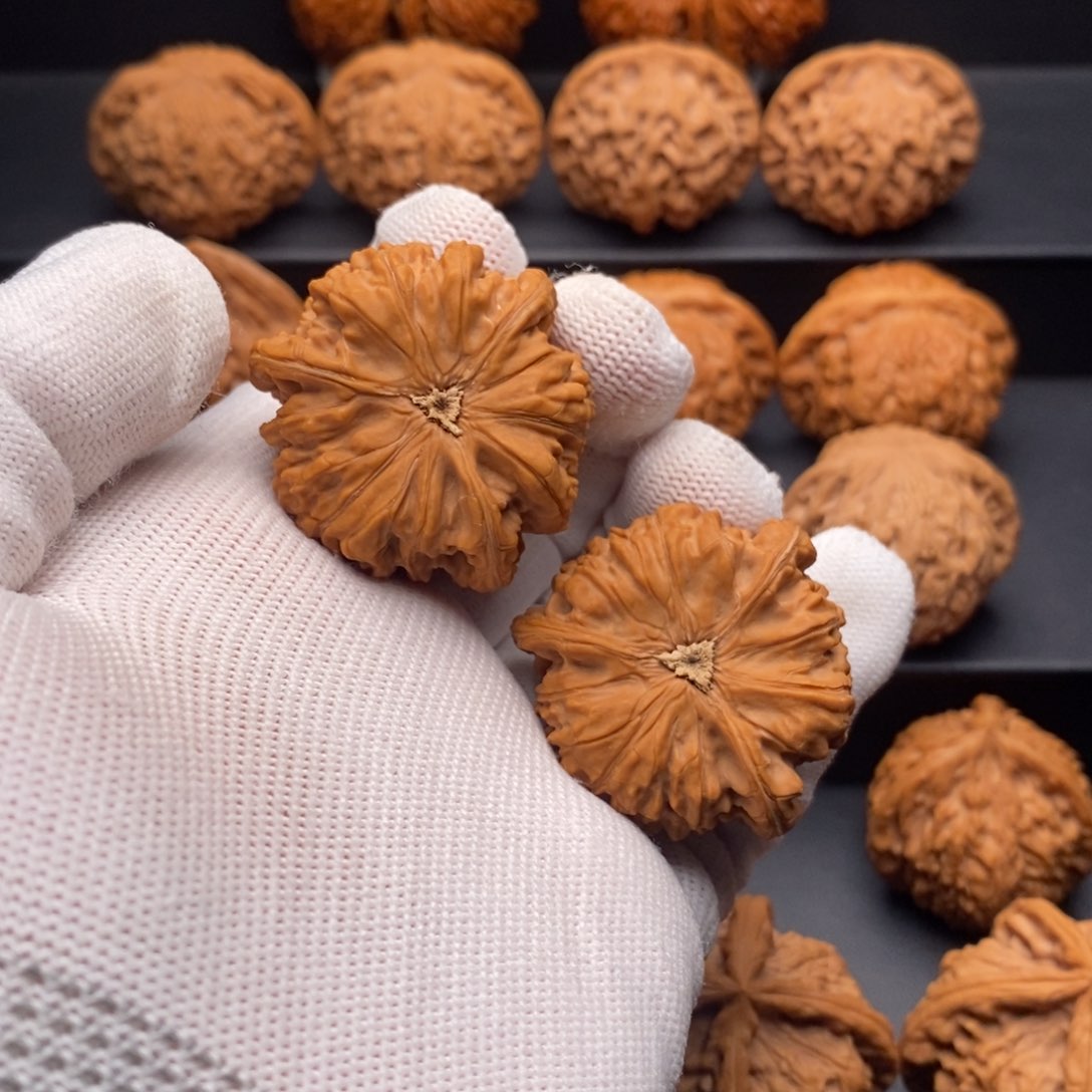 文玩核桃把件柯*御龙粗筋