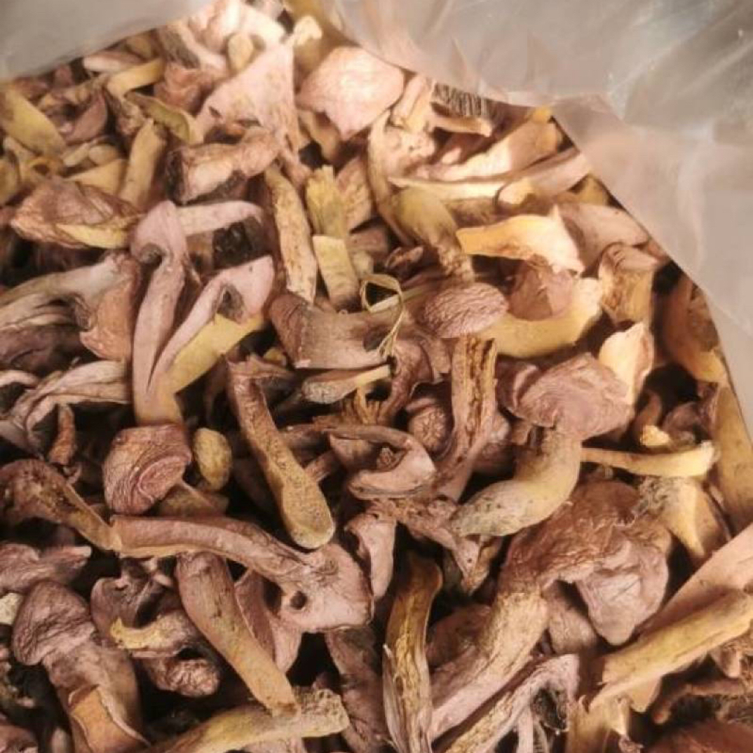 承德野生干肉蘑 肉蘑干货 肉蘑条