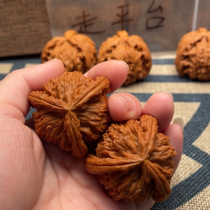 ^***见核桃白狮子40核桃