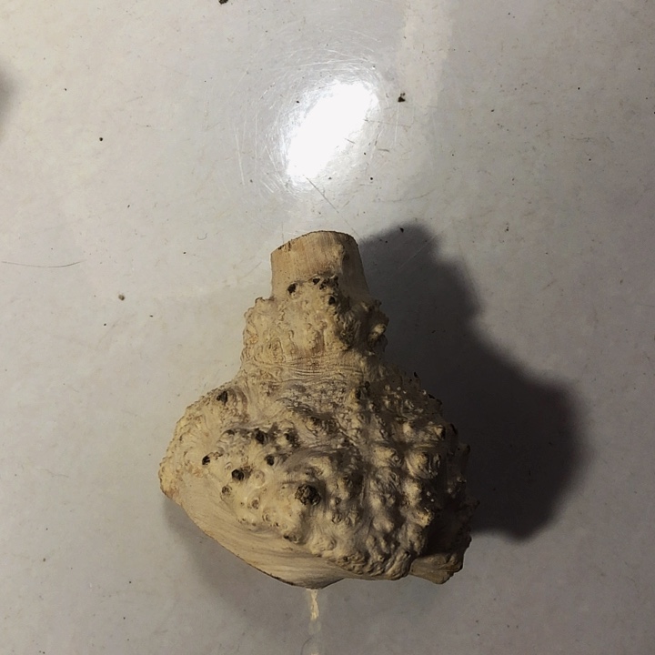 善***良木木料木料木料木料