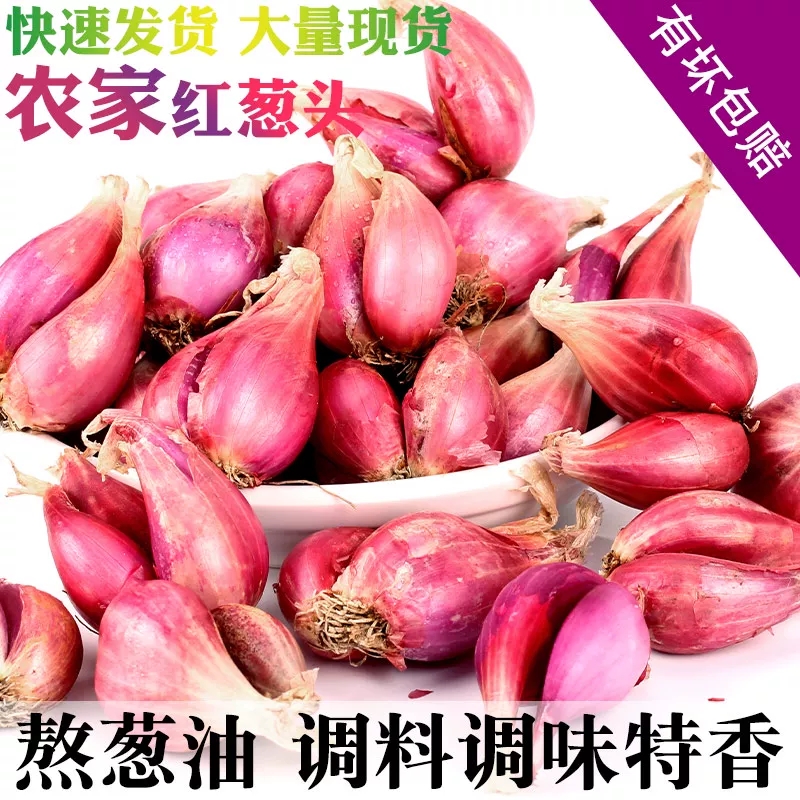 本地红葱头干葱头