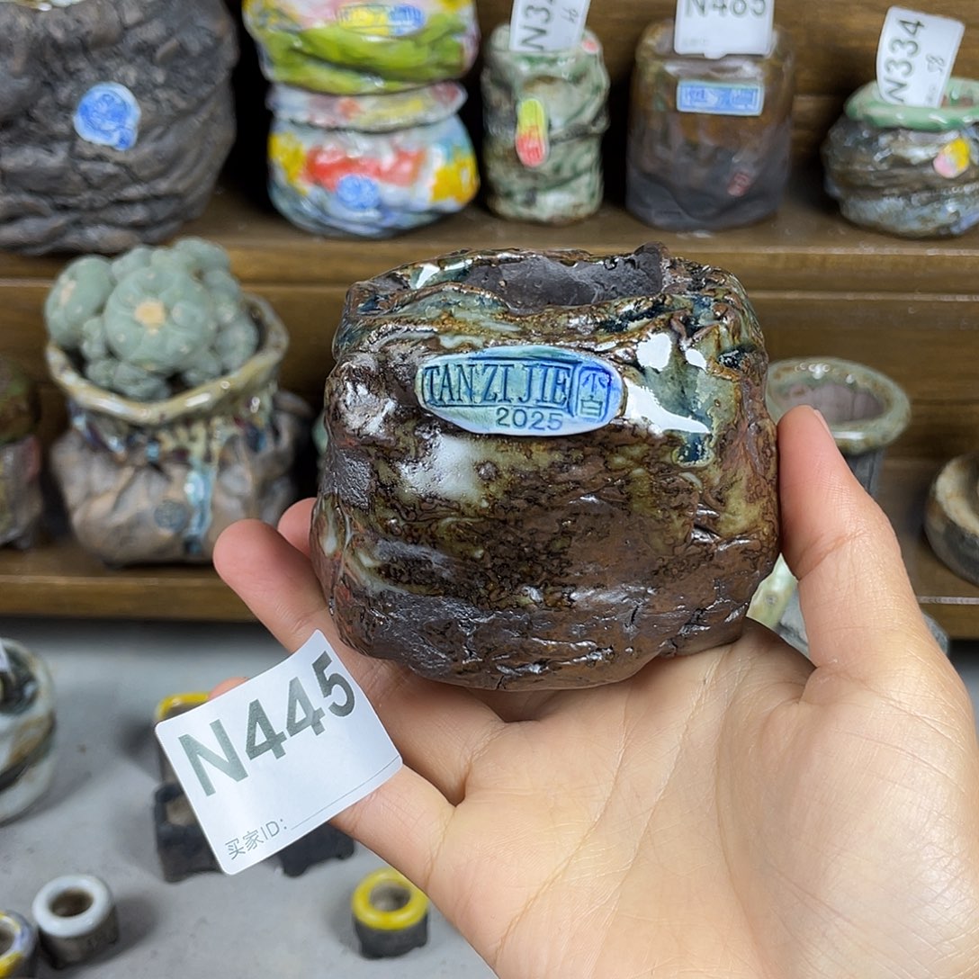 坛子姐花盆小白孤品微次 内口5百搭