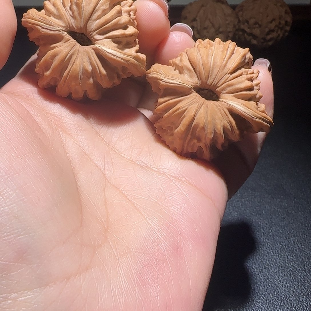 X***x核桃全品无修四座楼