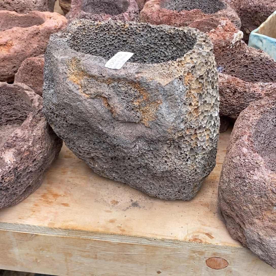 红陶往**烟76号多肉盆一个呀