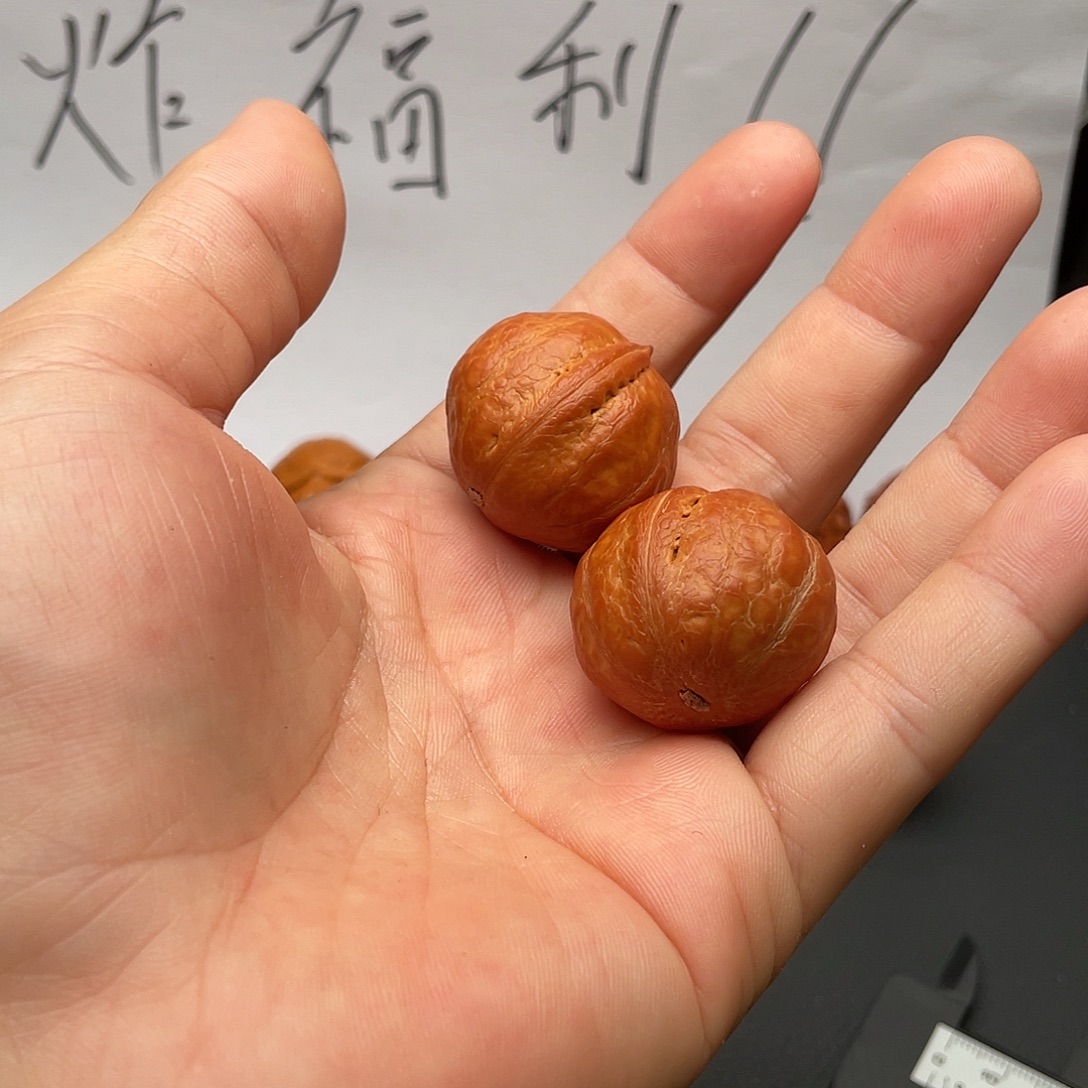 把件文玩核桃核桃