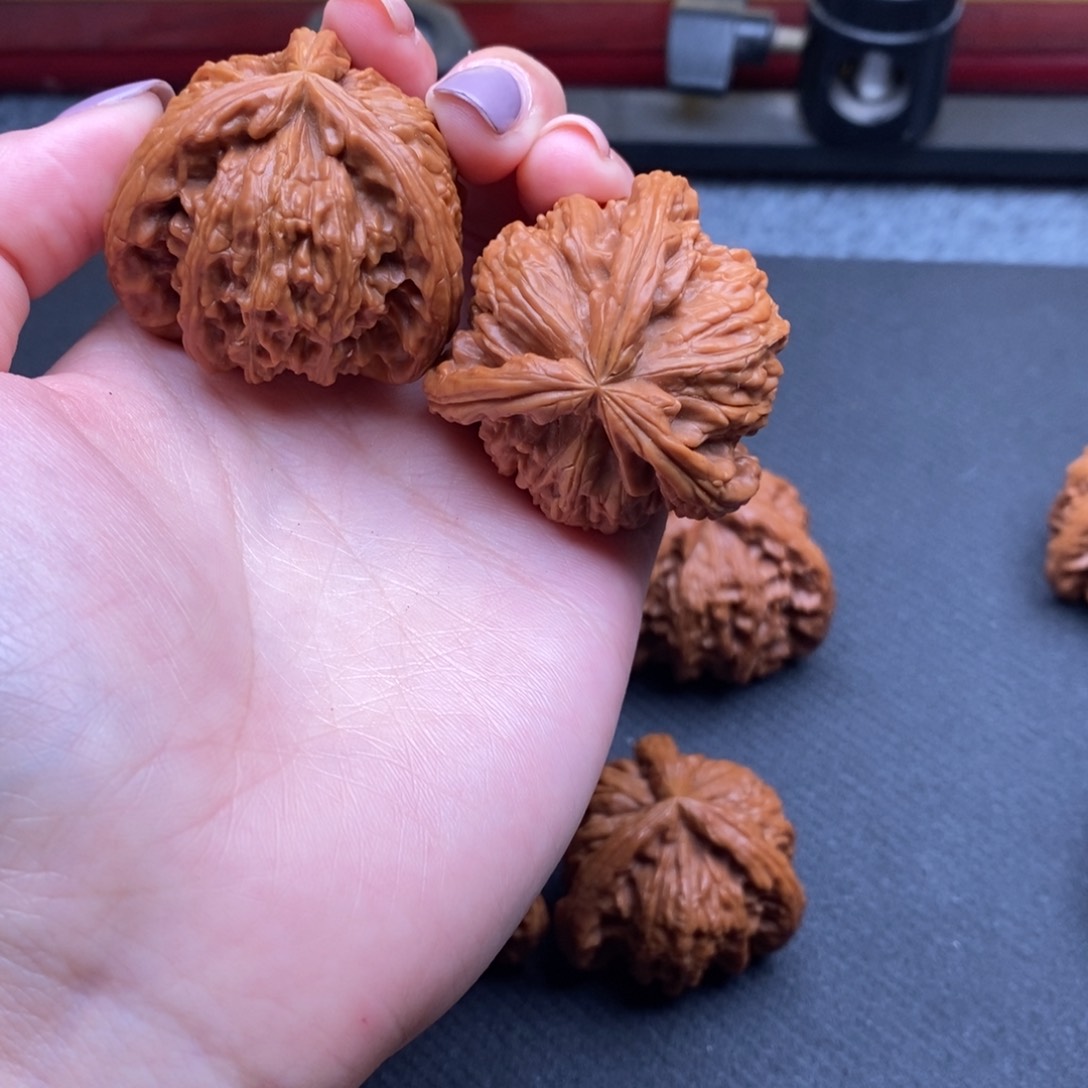 息*白狮子1111111111