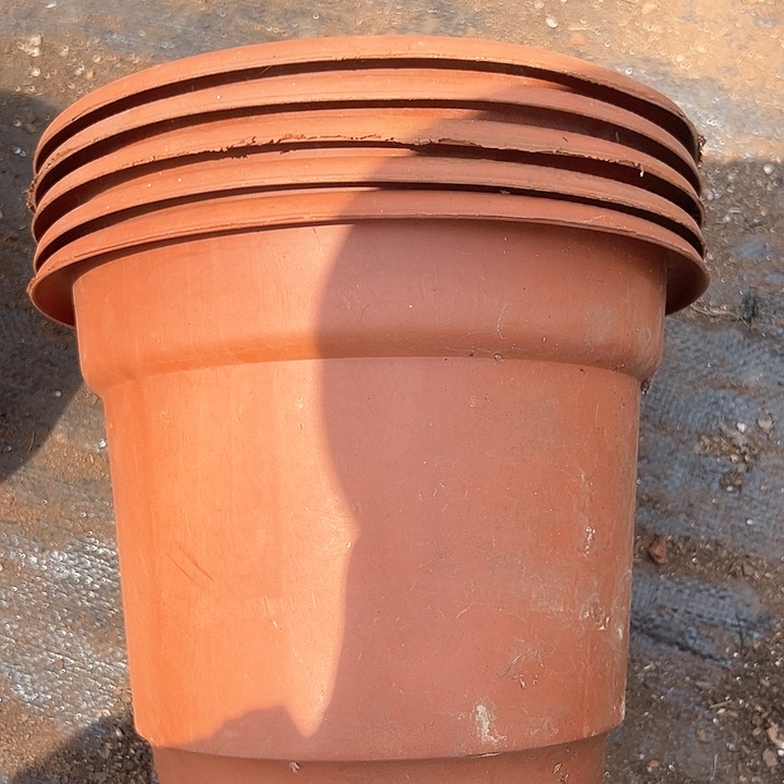 塑料口径24.5高度19 红黑圆盆混发一组5个