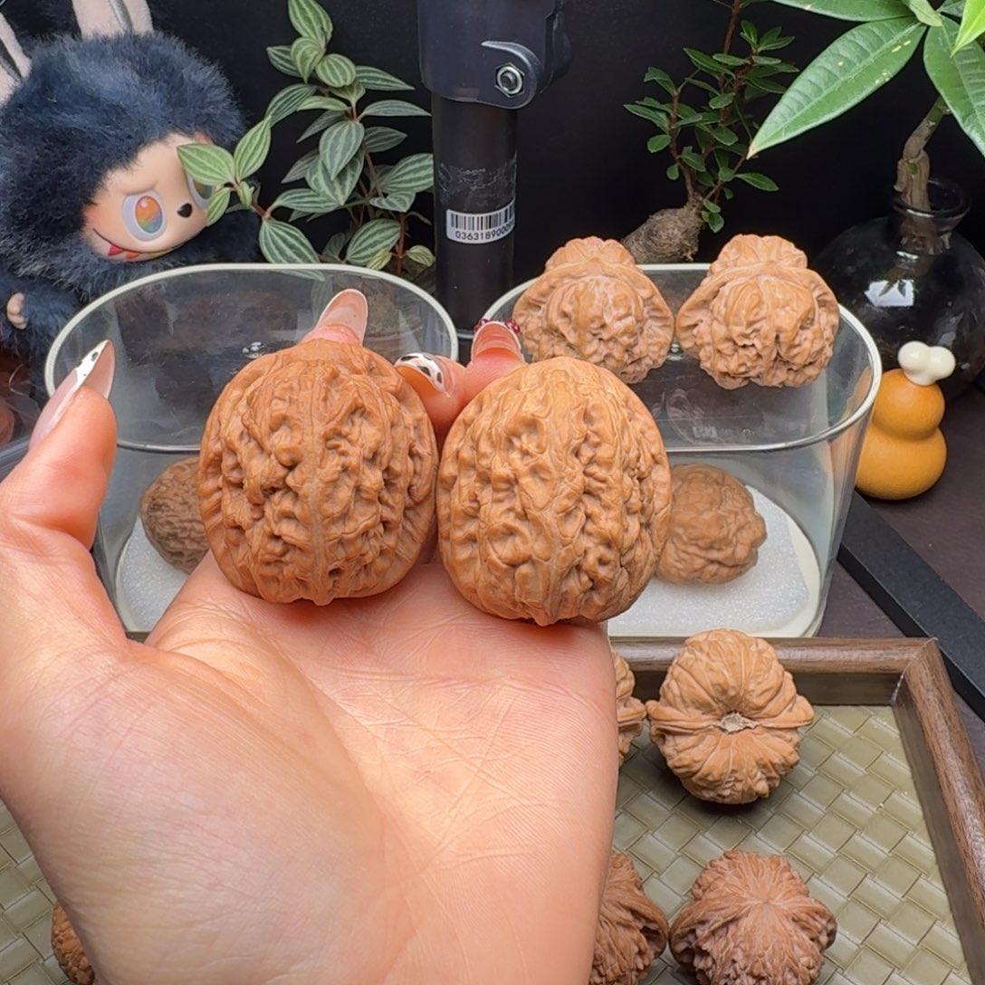 把件龙脊菩提全品红锦鲤42
