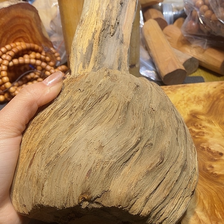 风车木（黑檀木）松明子